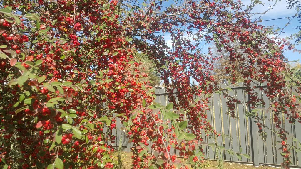 Upper House Guesthouse Clarens Esterno foto